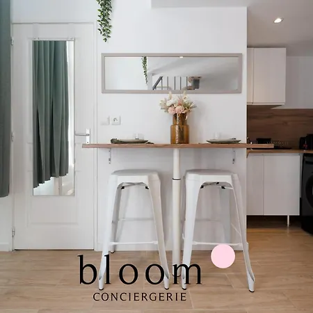 Appartement Le Diamant équipé De La Vieille