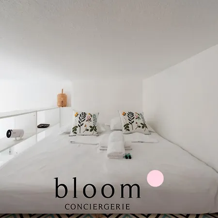 Appartement Le Diamant équipé De La Vieille